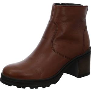 Brown Ara Shoes Ankle Mantova Cognac Women's Boots | ARA415KNW