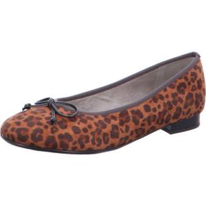 Brown Ara Shoes Ballet Pumps Pisa Women's Ballerina | ARA795BDK