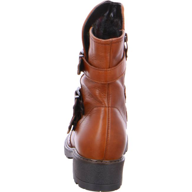 Brown Ara Shoes Ankle Dover Women's Boots | ARA295LEZ