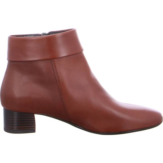 Brown Ara Shoes Ankle Vicenza Women's Boots | ARA162NCX