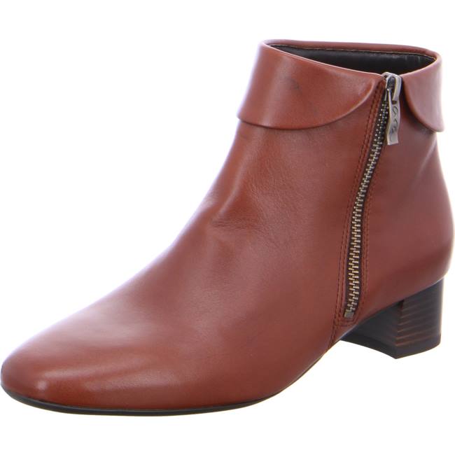 Brown Ara Shoes Ankle Vicenza Women\'s Boots | ARA162NCX