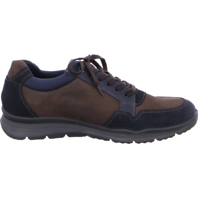 Brown Ara Shoes Benjo Men's Sneakers | ARA879POI