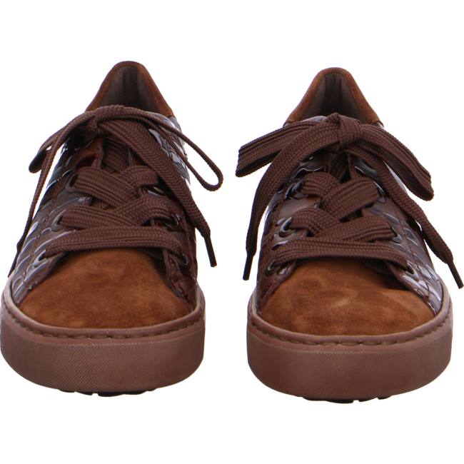 Brown Ara Shoes Courtyard Women's Sneakers | ARA956UOZ