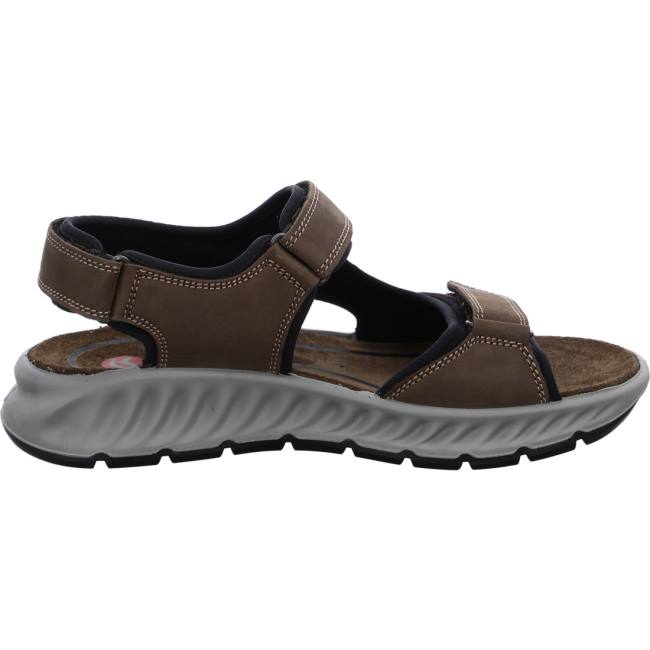 Brown Ara Shoes Elias Moro Men's Sandals | ARA061KGT