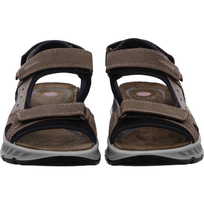 Brown Ara Shoes Elias Moro Men's Sandals | ARA061KGT