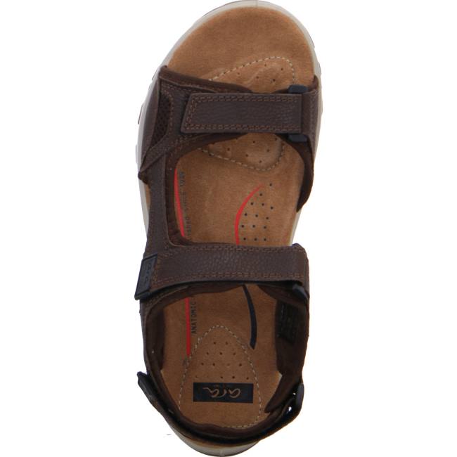 Brown Ara Shoes Ericsen Men's Sandals | ARA043MTP