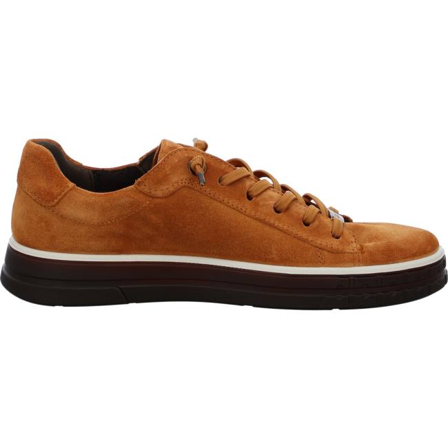 Brown Ara Shoes Frisco Ambra Women's Sneakers | ARA948IEP