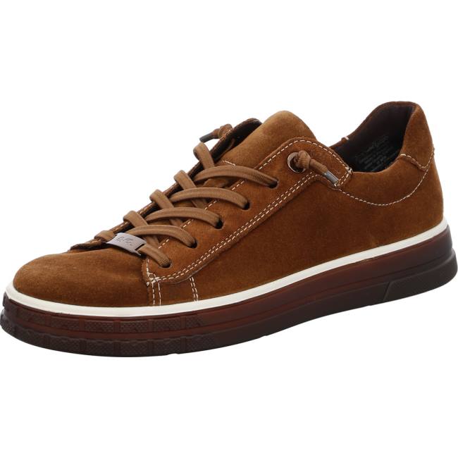 Brown Ara Shoes Frisco Nuts Women\'s Sneakers | ARA851GRH