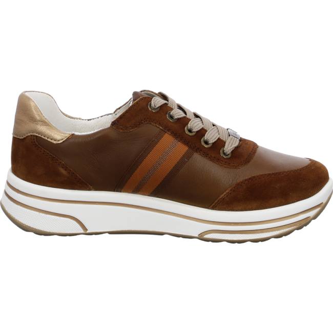 Brown Ara Shoes Lace-ups Sapporo Nuts Women's Sneakers | ARA584KSI