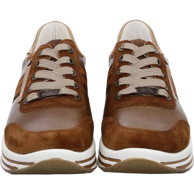 Brown Ara Shoes Lace-ups Sapporo Nuts Women's Sneakers | ARA584KSI