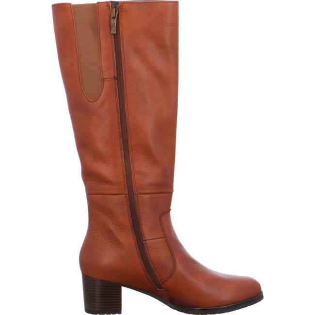 Brown Ara Shoes Long Florenz Women's Boots | ARA723AUR