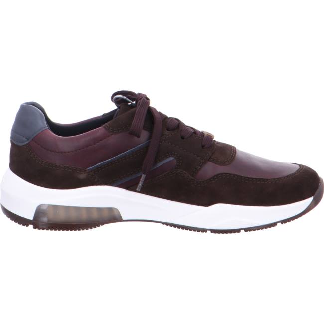 Brown Ara Shoes Los Angeles Men's Sneakers | ARA713JDE