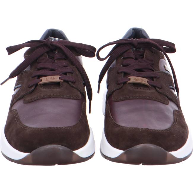 Brown Ara Shoes Los Angeles Men's Sneakers | ARA713JDE