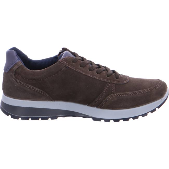 Brown Ara Shoes Matteo Caffee Men's Sneakers | ARA851MXG