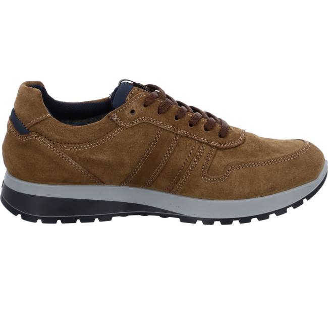 Brown Ara Shoes Matteo Cuoio Men's Sneakers | ARA165WKZ