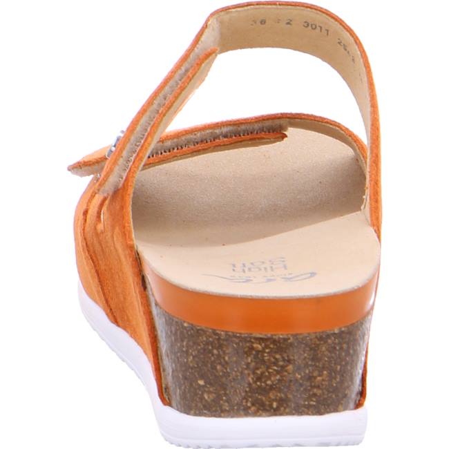 Brown Ara Shoes Norderney Ambra Women's Mules | ARA257EUY