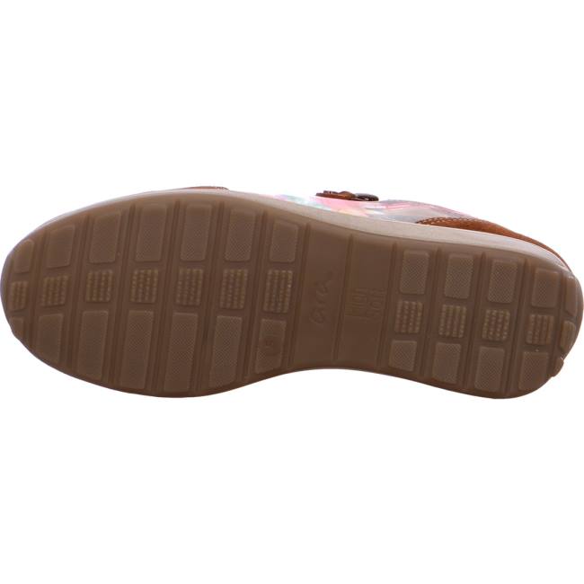 Brown Ara Shoes Osaka Nuts Women's Sneakers | ARA389ULW