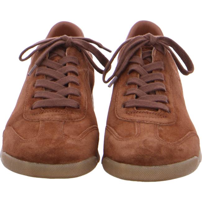 Brown Ara Shoes Rom Women's Sneakers | ARA126CRT